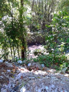 Education about the environment is critical in Indonesia.